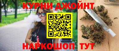 дурь Гай