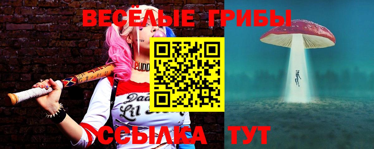 Галлюциногенные грибы Psilocybe Мценск