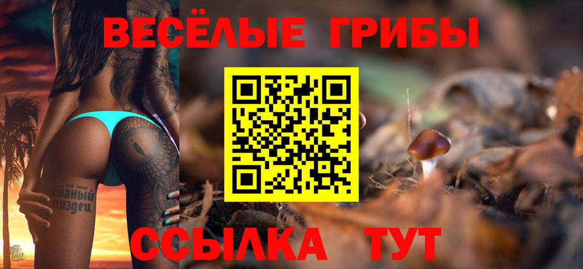 Галлюциногенные грибы Magic Shrooms  Псилоцибиновые грибы Cubensis  Мценск 